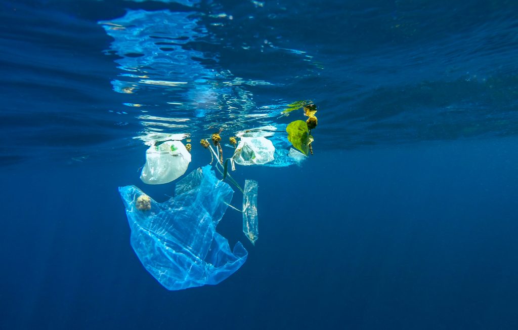 Drowning in Plastic – The Ocean Story