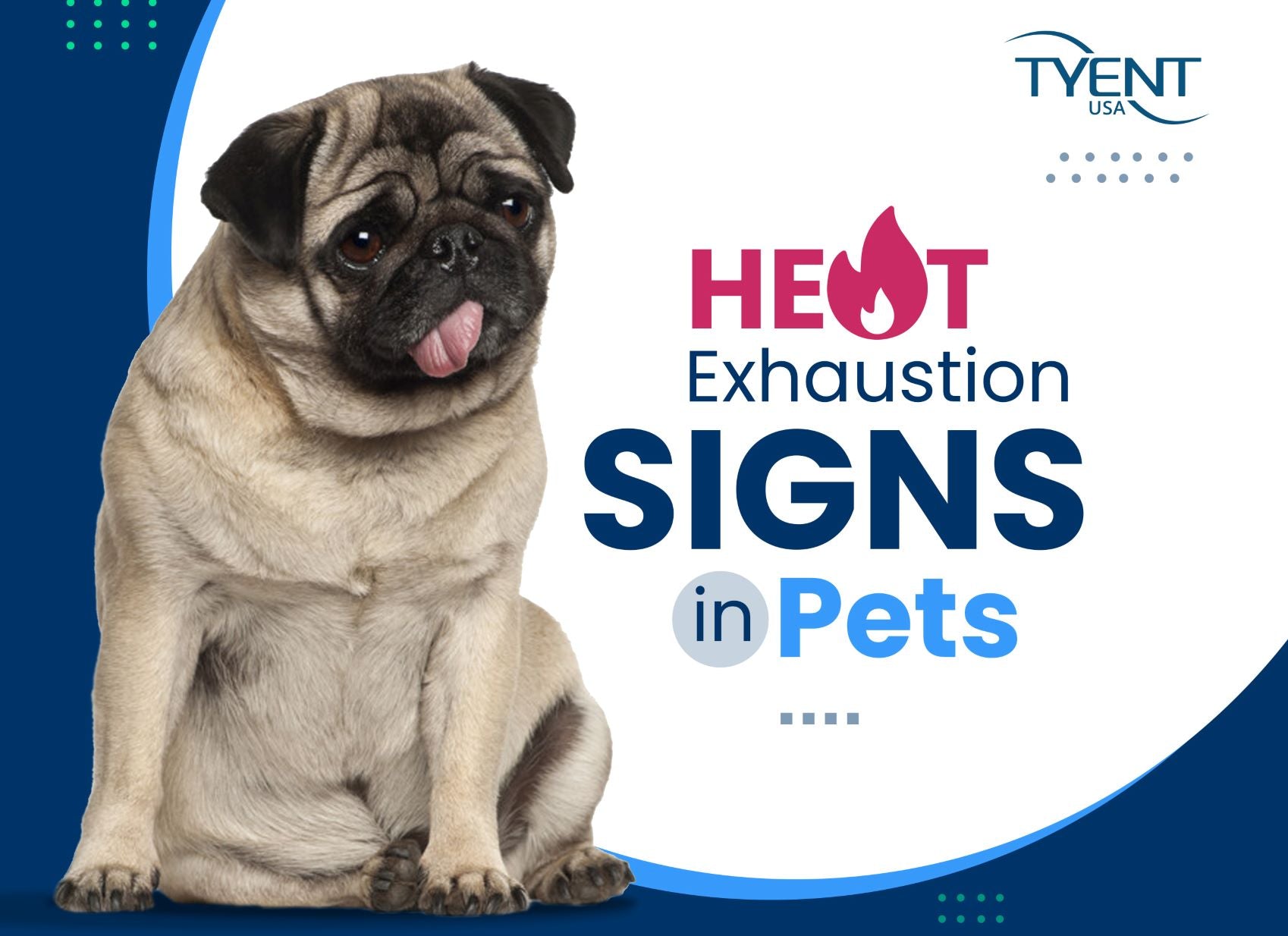 Heat Exhaustion Signs in Pets – Summer Pet Safety Tips