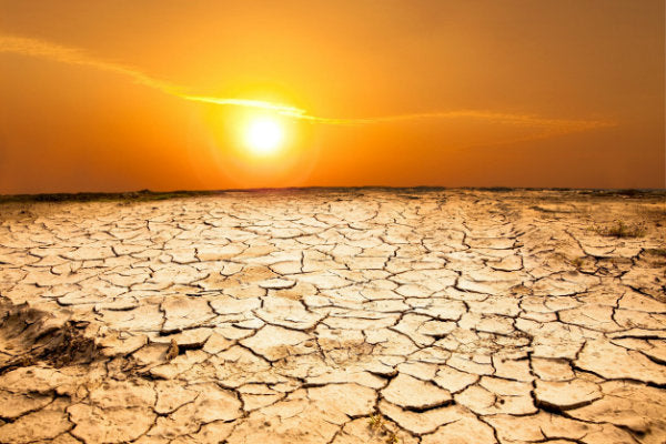 Keep Your Cool – Water Ionizers to the Rescue!